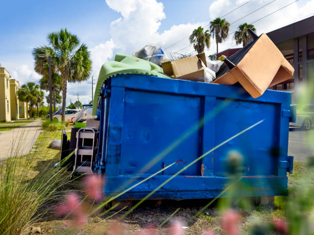 Best Basement Cleanout Services  in La Luz, NM